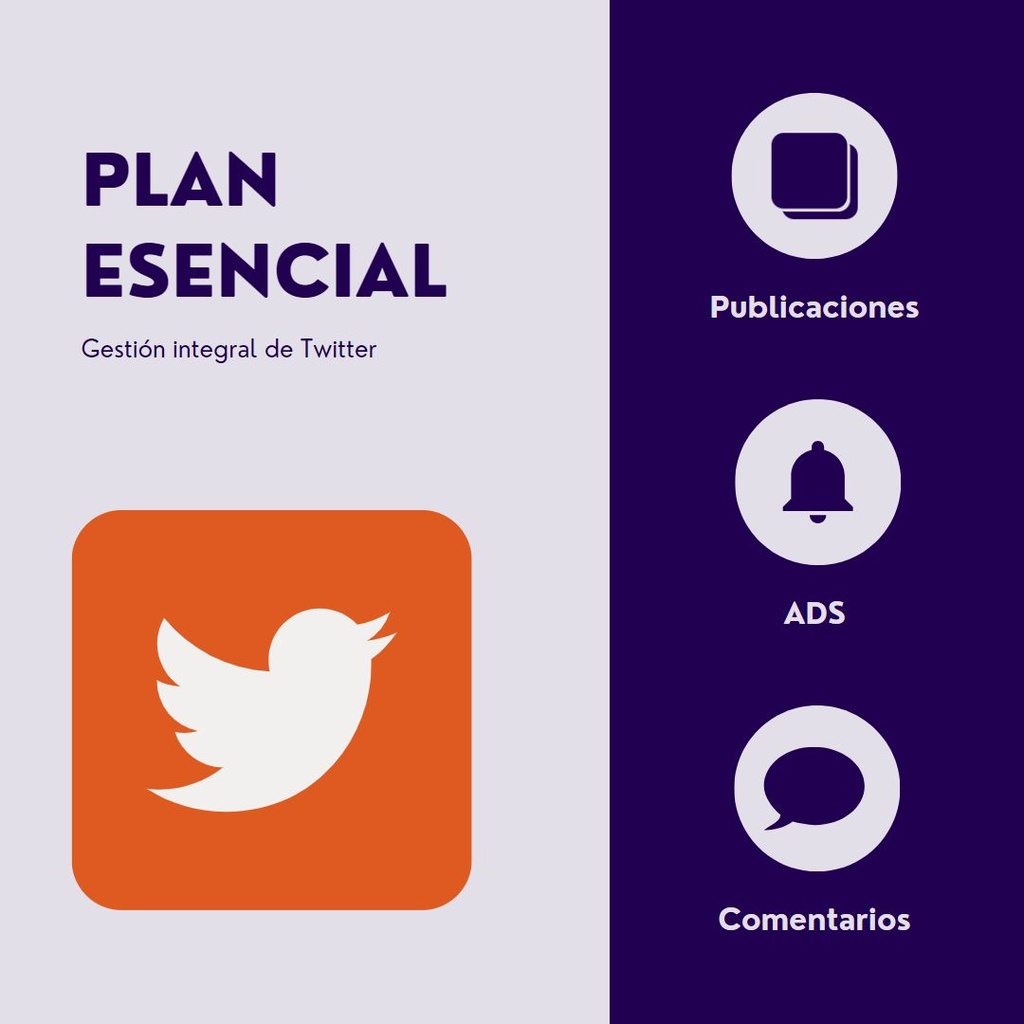 Plan esencial Twitter