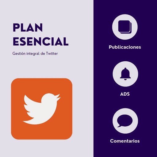 Plan esencial Twitter