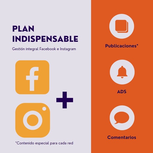 Plan indispensable Facebook e Instagram
