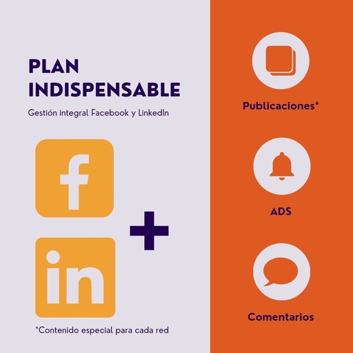 Plan indispensable Facebook y LinkedIn