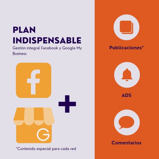 Plan indispensable Facebook y Google My Business
